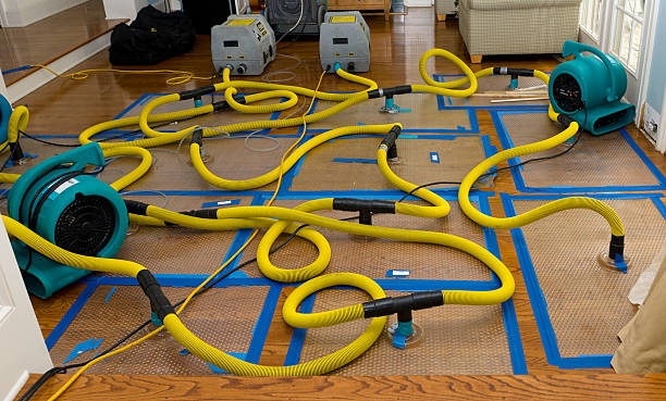 Professional Crawl Space Water Removal technician working in Smith, NV